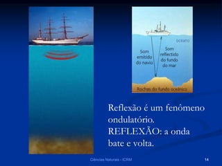 Reflexão é um fenômeno
ondulatório.
REFLEXÃO: a onda
bate e volta.
Ciências Naturais - ICRM 14
 