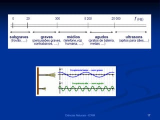 Ciências Naturais - ICRM 17
 
