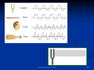 Ciências Naturais - ICRM 19
 