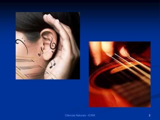 Ciências Naturais - ICRM 2
 