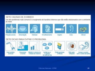 Ciências Naturais - ICRM 29
 