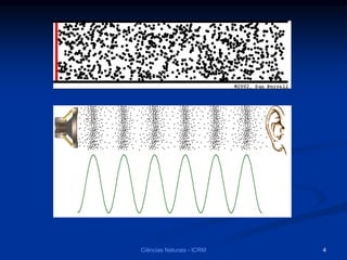 Ciências Naturais - ICRM 4
 