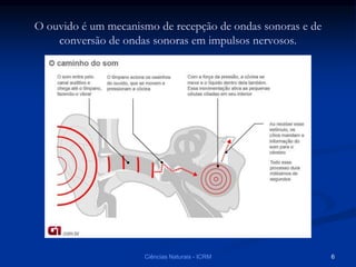 O ouvido é um mecanismo de recepção de ondas sonoras e de
conversão de ondas sonoras em impulsos nervosos.
6Ciências Naturais - ICRM
 