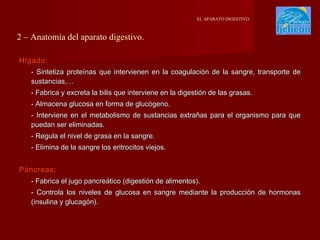 EL APARATO DIGESTIVO

2 – Anatomía del aparato digestivo.
Hígado:
- Sintetiza proteínas que intervienen en la coagulación de la sangre, transporte de
sustancias,…
- Fabrica y excreta la bilis que interviene en la digestión de las grasas.
- Almacena glucosa en forma de glucógeno.
- Interviene en el metabolismo de sustancias extrañas para el organismo para que
puedan ser eliminadas.
- Regula el nivel de grasa en la sangre.
- Elimina de la sangre los eritrocitos viejos.
Páncreas:
- Fabrica el jugo pancreático (digestión de alimentos).
- Controla los niveles de glucosa en sangre mediante la producción de hormonas
(insulina y glucagón).

 