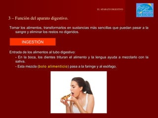 EL APARATO DIGESTIVO

3 – Función del aparato digestivo.
Tomar los alimentos, transformarlos en sustancias más sencillas que puedan pasar a la
sangre y eliminar los restos no digeridos.

INGESTIÓN
Entrada de los alimentos al tubo digestivo:
- En la boca, los dientes trituran el alimento y la lengua ayuda a mezclarlo con la
saliva.
- Esta mezcla (bolo alimenticio ) pasa a la faringe y al esófago.

 