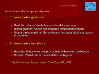 EL APARATO DIGESTIVO

4 – Enfermedades del aparato digestivo.
-

Enfermedades gástricas :
-

-

Gastritis: Inflamación de las paredes del estómago.
Úlcera gástrica: Acidez prolongada e infección bacteriana.
Úlcera gastrointestinal: Se produce si los jugos gástricos pasan
al duodeno.

Enfermedades hepáticas :
- Hepatitis: Infecciones que provocan la inflamación del hígado.
- Cirrosis: Pérdida de la funcionalidad del hígado.
http://www.youtube.com/watch?v=YDqua0Ru44E

 