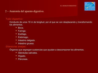 EL APARATO DIGESTIVO

2 – Anatomía del aparato digestivo.
Tubo digestivo:
Conducto de unos 10 m de longitud, por el que se van desplazando y transformando
los alimentos.
 Boca.
 Faringe.
 Esófago.
 Estómago.
 Intestino delgado.
 Intestino grueso.
Glándulas anejas:
Órganos que segregan sustancias que ayudan a descomponer los alimentos.
 Glándulas salivales.
 Hígado.
 Páncreas.

 