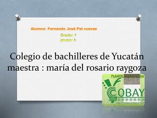Colegio de bachilleres de Yucatán
maestra : maría del rosario raygoza
 