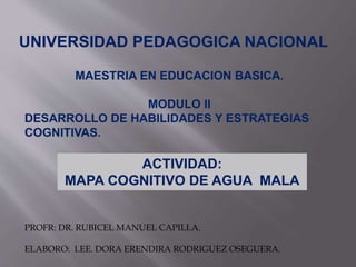 UNIVERSIDAD PEDAGOGICA NACIONAL
ACTIVIDAD:
MAPA COGNITIVO DE AGUA MALA
PROFR: DR. RUBICEL MANUEL CAPILLA.
ELABORO: LEE. DORA ERENDIRA RODRIGUEZ OSEGUERA.
MAESTRIA EN EDUCACION BASICA.
MODULO II
DESARROLLO DE HABILIDADES Y ESTRATEGIAS
COGNITIVAS.
 