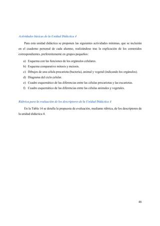 46
Actividades básicas de la Unidad Didáctica 4
Para esta unidad didáctica se proponen las siguientes actividades mínimas, que se incluirán
en el cuaderno personal de cada alumno, realizándose tras la explicación de los contenidos
correspondientes, preferentemente en grupos pequeños:
a) Esquema con las funciones de los orgánulos celulares.
b) Esquema comparativo mitosis y meiosis.
c) Dibujos de una célula procariota (bacteria), animal y vegetal (indicando los orgánulos).
d) Diagrama del ciclo celular.
e) Cuadro esquemático de las diferencias entre las células procariotas y las eucariotas.
f) Cuadro esquemático de las diferencias entre las células animales y vegetales.
Rúbrica para la evaluación de los descriptores de la Unidad Didáctica 4
En la Tabla 14 se detalla la propuesta de evaluación, mediante rúbrica, de los descriptores de
la unidad didáctica 4.
 
