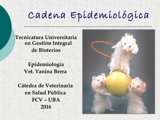 Cadena Epidemiológica
Tecnicatura Universitaria
en Gestión Integral
de Bioterios
Epidemiología
Vet. Yanina Berra
Cátedra de Veterinaria
en Salud Pública
FCV – UBA
2016
 
