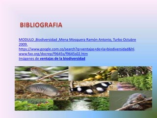 MODULO ,Biodiversidad ,Mena Mosquera Ramón Antonio, Turbo Octubre
2009.
https://www.google.com.co/search?q=ventajas+de+la+biodiversidad&hl.
www.fao.org/docrep/f9645s/f9645s02.htm
Imágenes de ventajas de la biodiversidad
 