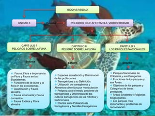 BIODIVERSIDAD




     UNIDAD 3                  Estudia             PELIGROS QUE AFECTAN LA VIODIBERCIDAD



                                                                 Dividida



      CAPIT ULO 7                                CAPITULO 8                           CAPITULO 9
PELIGROS SOBRE LA FUNA                     PELIGRO SOBRE LA FLORA              LOS PARQUES NACIONALES



           Estudia                              Estudia                                  Estudia



 Fauna, Flora e Importancia                                                    Parques Nacionales de
de Flora y Fauna en los               Especies en extinción y Disminución     Colombia y sus Categorías.
Ecosistemas.                         de las poblaciones.                        Funciones de los parques y
 Funciones de la fauna y la          Transgénicos y su Definición.           sus Áreas.
flora en los ecosistemas.             Utilización de transgénicos y            Objetivos de los parques y
 Clasificación y Fauna              Alimentos obtenidos por manipulación      Categorías de áreas
silvestre.                            Peligros para el medio ambiente de      protegidas.
 Fauna amansada y Fauna             transgénicos y Diferencias de los          Áreas Silvestres y Regiones
domestica.                           cultivos transgénicos de los híbridos y   biogeografías.
 Fauna Exótica y Flora              tradicionales                              Los parques más
silvestre                             Efectos en la Población de              importantes y problemas de
                                     transgénicos y Semillas transgénicas      conservación
 