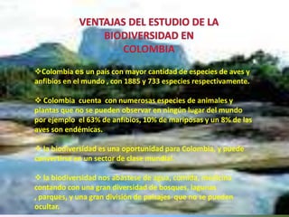 Colombia es un país con mayor cantidad de especies de aves y
anfibios en el mundo , con 1885 y 733 especies respectivamente.

 Colombia cuenta con numerosas especies de animales y
plantas que no se pueden observar en ningún lugar del mundo
por ejemplo el 63% de anfibios, 10% de mariposas y un 8% de las
aves son endémicas.

 la biodiversidad es una oportunidad para Colombia, y puede
convertirse en un sector de clase mundial.

 la biodiversidad nos abástese de agua, comida, medicina
contando con una gran diversidad de bosques, lagunas
, parques, y una gran división de paisajes que no se pueden
ocultar.
 