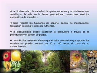  la biodiversidad, la variedad de genes especies y ecosistemas que
constituyen la vida en la tierra, proporcionan numerosos servicios
esenciales a la sociedad .

 cabe resaltar las funciones de soporte, control de inundaciones,
regulación de clima y ciclos de nutrientes.

 la biodiversidad puede favorecer la agricultura a través de la
polinización y el control de plagas.

 los cálculos resientes afirman que el valor económico que aportan los
ecosistemas pueden superar de 10 a 100 veces el costo de su
mantenimiento.
 