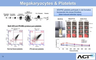 Megakaryocytes & Platelets
• hES/iPSC-platelets participate in clot formation
• Incorporate into mouse thrombus
(laser-induced arteriolar injury)

Both hES and iPS-MKs produce pure platelets

Normal blood platelets

16

iPS-derived platelets

 