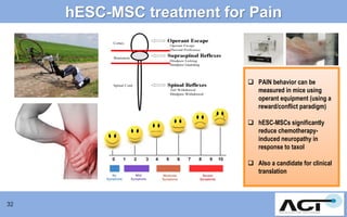 hESC-MSC treatment for Pain

 PAIN behavior can be
measured in mice using
operant equipment (using a
reward/conflict paradigm)
 hESC-MSCs significantly
reduce chemotherapyinduced neuropathy in
response to taxol
 Also a candidate for clinical
translation

32

 