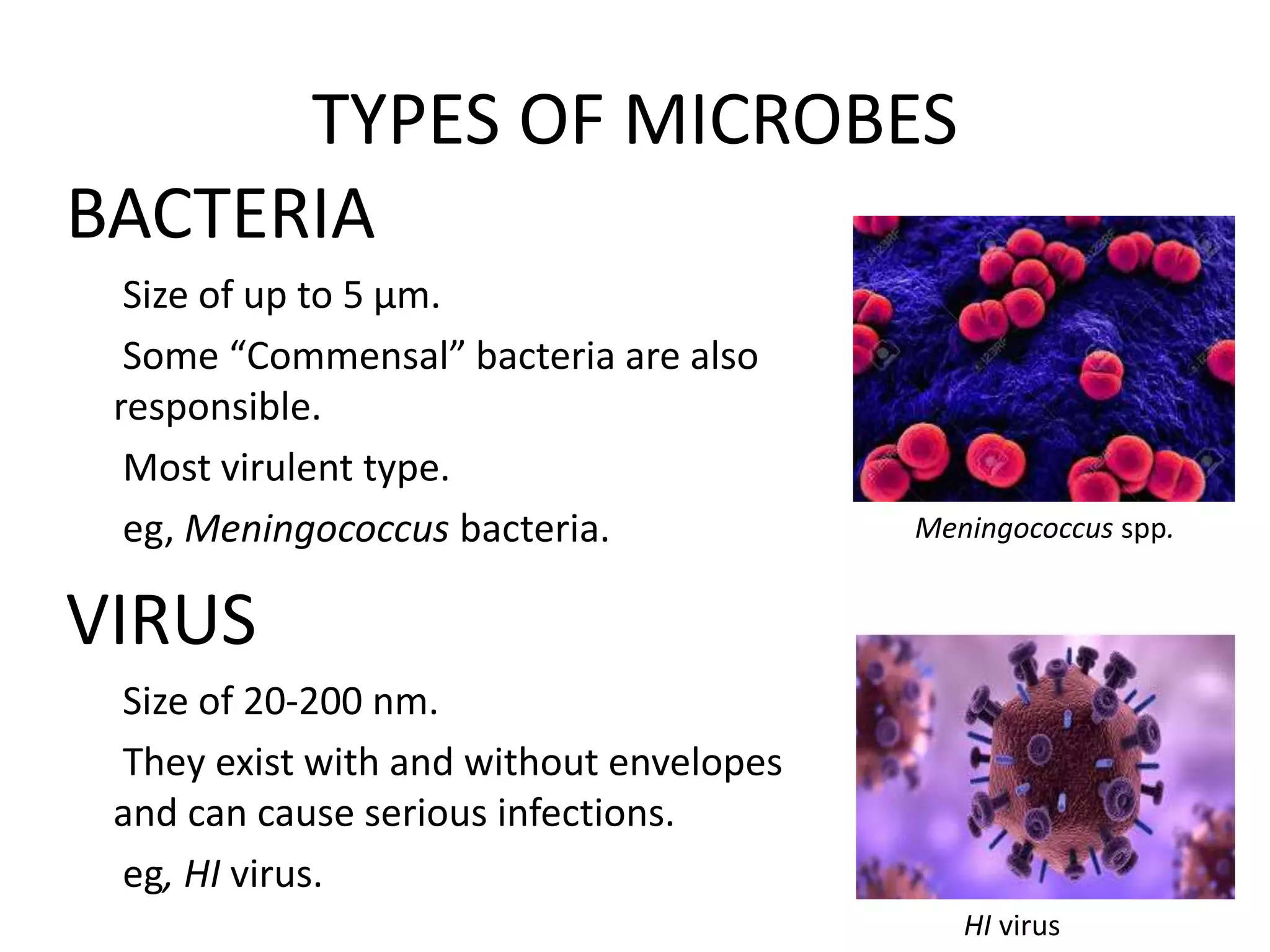 Microbiological Contaminants Are Best Described As Microbial contamination and detection | PPT