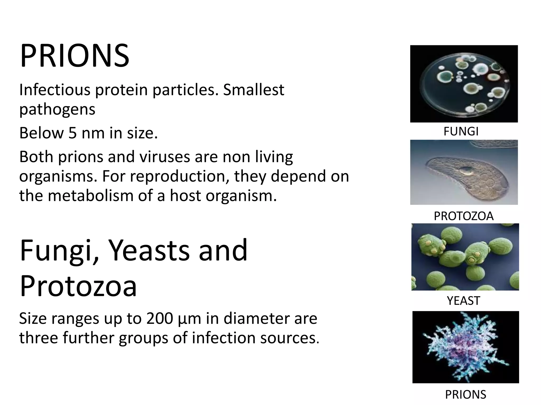 PRIONS
Infectious protein particles. Smallest
pathogens
Below 5 nm in size.
Both prions and viruses are non living
organisms. For reproduction, they depend on
the metabolism of a host organism.
Fungi, Yeasts and
Protozoa
Size ranges up to 200 μm in diameter are
three further groups of infection sources.
YEAST
PROTOZOA
FUNGI
PRIONS
 