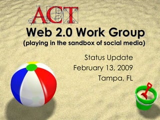 Web 2.0 Work Group (playing in the sandbox of social media) Status Update February 13, 2009 Tampa, FL 