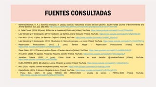 FUENTES CONSULTADAS
• Martinez-Bolaños, K. A. y Sánchez-Vázquez, A. (2022). Música y naturaleza: el caso del Son jarocho. South Florida Journal of Environmental and
Animal Science, 2(3), (pp. 262-266). https://ojs.southfloridapublishing.com/ojs/index.php/sfjeas/article/view/1759/1385
• H. Felix Flores. (2019, 20 junio). El Rey de la Huasteca | Violin solo [Vídeo]. YouTube. https://www.youtube.com/watch?v=czC7DUejW4k
• Lalo Merodio y El fandanguito. (2019, 9 octubre). La Bamba-Jarana Mosquito [Vídeo]. YouTube. https://www.youtube.com/watch?v=xFph4Wtx-9Y
• Foro Xicu. (2016, 11 julio). La Bamba – Cajón 43 [Vídeo]. YouTube. https://www.youtube.com/watch?v=bMP_WyxSc0I
• Lalo Merodio y El fandanguito. (2018, 13 octubre). 2. Son entre amigos – un coco [Vídeo]. YouTube. https://www.youtube.com/watch?v=VdzlOF5tFJg
• Repercusión Producciones. (2012, 2 junio). Tambor Alegre – Repercusion Producciones [Vídeo]. YouTube.
https://www.youtube.com/watch?v=4980rwwAEtM
• Cesar Gallo. (2013, 23 enero). Andres Flores – Pandero Jarocho [Vídeo]. YouTube. https://www.youtube.com/watch?v=b4MMp3J8zC0
• Alí Luthier. (2023, 14 agosto). Probando Requinto Jarocho [Vídeo]. YouTube. https://www.youtube.com/watch?v=U4u4aaznqLA
• Jonathan Totena. (2021, 8 junio). Cómo tocar la morena en arpa Jarocha @JonathanTotena [Vídeo]. YouTube.
https://www.youtube.com/watch?v=4iEfIXlf8ko
• ELIEL TORRES. (2014, 20 octubre). Leona. Afinación y sonido [Vídeo]. YouTube. https://www.youtube.com/watch?v=nX4dLFcLR-o
• nko. (2020, 19 julio). Sonido de la jarana [Vídeo]. YouTube. https://www.youtube.com/watch?v=xoKxqs334A4
• KijadaStudio. (2014, 5 febrero). Quijada de burro [Vídeo]. YouTube. https://www.youtube.com/watch?v=PiDfVLyD1P8
• Percu Son. (2021, 10 julio). TARIMA DE ZAPATEADO – prueba de sonido – PERCU-SON [Vídeo]. YouTube.
https://www.youtube.com/watch?v=eRL0mYhUWRo
 