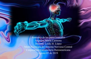 Anatomía de los pares craneales
Angélica Marín Carmona
Docente: Leidy H. López
Morfofisiológía del Sistema Nervioso Central
Corporación Universitaria Iberoamericana
Agosto 05 de 2019
 