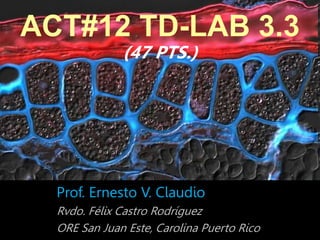 ACT#12 TD-LAB 3.3
(47 PTS.)
Prof. Ernesto V. Claudio
Rvdo. Félix Castro Rodríguez
ORE San Juan Este, Carolina Puerto Rico
 