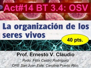 Act#14 BT 3.4: OSV
Prof. Ernesto V. Claudio
Rvdo. Félix Castro Rodríguez
ORE San Juan Este, Carolina Puerto Rico.
40 pts.
 