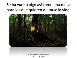 Se ha vuelto algo así como una meca
para los que quieren quitarse la vida.

Zuleimy Karina González Pech
1B
4/12/13

 