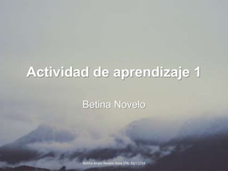Actividad de aprendizaje 1 
Betina Novelo 
Betina Anahi Novelo Sosa 1ºA 10/12/14 
 