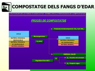 COMPOSTATGE DELS FANGS ֶٴ 