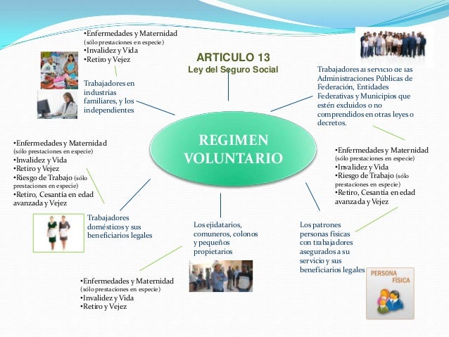 Act 20 seguridad social