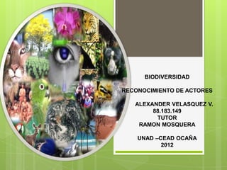 BIODIVERSIDAD

RECONOCIMIENTO DE ACTORES

   ALEXANDER VELASQUEZ V.
        88.183.149
         TUTOR
    RAMON MOSQUERA

    UNAD –CEAD OCAÑA
           2012
 