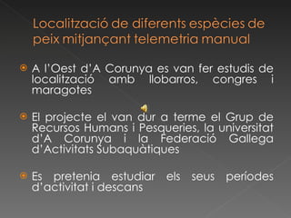 A l’Oest d’A Corunya es van fer estudis de localització amb llobarros, congres i maragotes El projecte el van dur a terme el Grup de Recursos Humans i Pesqueries, la universitat d’A Corunya i la Federació Gallega d’Activitats Subaquàtiques Es pretenia estudiar els seus períodes d’activitat i descans 