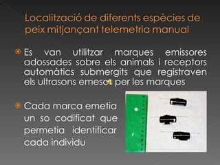 Es van utilitzar marques emissores adossades sobre els animals i receptors automàtics submergits que registraven els ultrasons emesos per les marques Cada marca emetia un  so  codificat  que permetia  identificar cada individu 