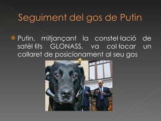 Putin, mitjançant la constel·lació de satèl·lits GLONASS, va col·locar un collaret de posicionament al seu gos 