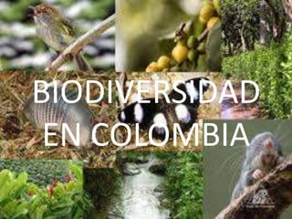 BIODIVERSIDAD
 EN COLOMBIA
 