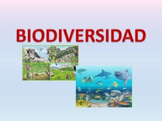 Act: 2 reconocimiento del curso biodiversidad