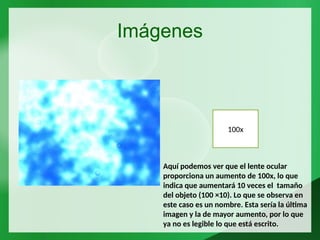 Imágenes
100x
Aquí podemos ver que el lente ocular
proporciona un aumento de 100x, lo que
indica que aumentará 10 veces el tamaño
del objeto (100 ×10). Lo que se observa en
este caso es un nombre. Esta sería la última
imagen y la de mayor aumento, por lo que
ya no es legible lo que está escrito.
 