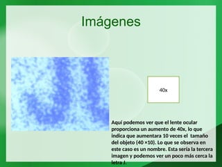 Imágenes
40x
Aquí podemos ver que el lente ocular
proporciona un aumento de 40x, lo que
indica que aumentara 10 veces el tamaño
del objeto (40 ×10). Lo que se observa en
este caso es un nombre. Esta sería la tercera
imagen y podemos ver un poco más cerca la
letra J.
 