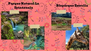Bioparque Estrella
Parque Natural La
Estanzuela
 
