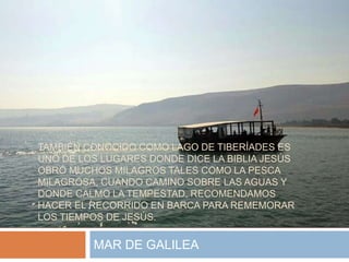 TAMBIÉN CONOCIDO COMO LAGO DE TIBERÍADES ES
UNO DE LOS LUGARES DONDE DICE LA BIBLIA JESÚS
OBRÓ MUCHOS MILAGROS TALES COMO LA PESCA
MILAGROSA, CUANDO CAMINO SOBRE LAS AGUAS Y
DONDE CALMO LA TEMPESTAD. RECOMENDAMOS
HACER EL RECORRIDO EN BARCA PARA REMEMORAR
LOS TIEMPOS DE JESÚS.
MAR DE GALILEA
 