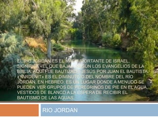 EL RIO JORDÁN ES EL MÁS IMPORTANTE DE ISRAEL,
SIGNIFICA «EL QUE BAJA» SEGÚN LOS EVANGELIOS DE LA
BIBLIA, AQUÍ FUE BAUTIZADO JESÚS POR JUAN EL BAUTISTA.
«YARDENIT» ES EL DIMINUTIVO DEL NOMBRE DEL RÍO
JORDÁN, EN HEBREO. ES UN LUGAR DONDE A MENUDO SE
PUEDEN VER GRUPOS DE PEREGRINOS DE PIE EN EL AGUA,
VESTIDOS DE BLANCO A LA ESPERA DE RECIBIR EL
BAUTISMO DE LAS AGUAS.
RIO JORDAN
 