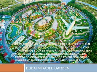 LA SEGUNDA VISITA IMPERDIBLE QUE HACER EN DUBÁI
ES AL MIRACLE GARDEN, EN DUBAILAND, UNO DE LOS
JARDINES DE FLORES MÁS GRANDES DEL MUNDO. TIENE
MÁS DE 150 MILLONES DE FLORES ARREGLADAS EN
FORMA DE CORAZONES, FAMOSOS EDIFICIOS Y OTRAS
SORPRENDENTES CONSTRUCCIONES VISUALES.
DUBAI MIRACLE GARDEN
 