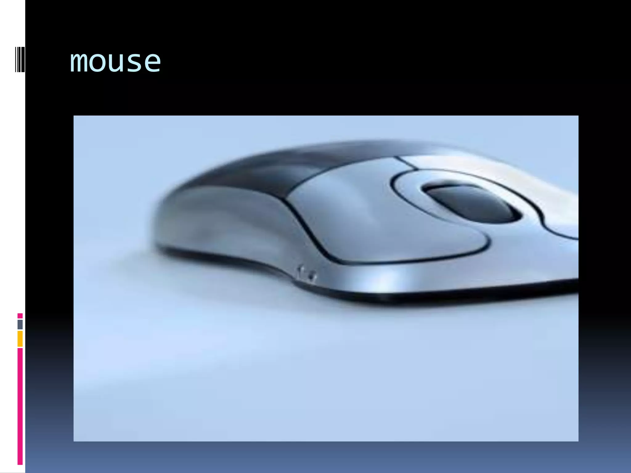 mouse