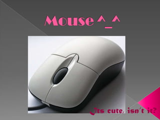  Mouse ^_^Its cute, isn’t it? 