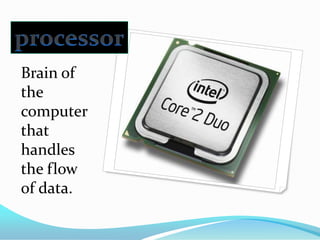 processorBrain of the computer that handles the flow of data.