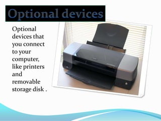 Optional devicesOptional devices that you connect to your computer, like printers and removable storage disk .