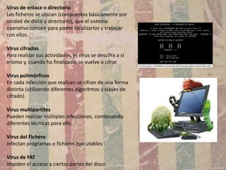 Virus de enlace o directorio
Los ficheros se ubican (compuestos básicamente por
unidad de disco y directorio), que el sistema
operativo conoce para poder localizarlos y trabajar
con ellos.

Virus cifrados
Para realizar sus actividades, el virus se descifra a sí
mismo y, cuando ha finalizado, se vuelve a cifrar.

Virus polimórficos
En cada infección que realizan se cifran de una forma
distinta (utilizando diferentes algoritmos y claves de
cifrado).

Virus multipartites
Pueden realizar múltiples infecciones, combinando
diferentes técnicas para ello.

Virus del Fichero
Infectan programas o ficheros ejecutables

Virus de FAT
impiden el acceso a ciertas partes del disco.
 