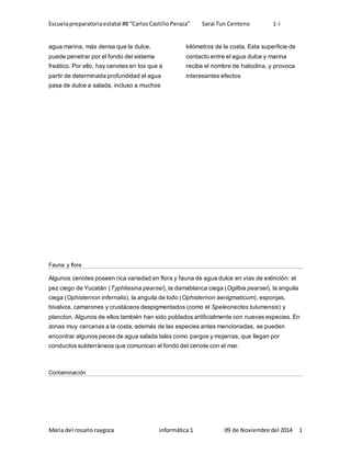 Escuela preparatoria estatal #8 “Carlos Castillo Peraza” Sarai Tun Centeno 1-i 
agua marina, más densa que la dulce, 
puede penetrar por el fondo del sistema 
freático. Por ello, hay cenotes en los que a 
partir de determinada profundidad el agua 
pasa de dulce a salada, incluso a muchos 
kilómetros de la costa. Esta superficie de 
contacto entre el agua dulce y marina 
recibe el nombre de haloclina, y provoca 
interesantes efectos 
Fauna y flora 
Algunos cenotes poseen rica variedad en flora y fauna de agua dulce en vías de extinción: el 
pez ciego de Yucatán (Typhliasina pearsei), la damablanca ciega (Ogilbia pearsei), la anguila 
ciega (Ophisternon infernalis), la anguila de lodo (Ophisternon aenigmaticum), esponjas, 
bivalvos, camarones y crustáceos despigmentados (como el Speleonectes tulumensis) y 
plancton. Algunos de ellos también han sido poblados artificialmente con nuevas especies. En 
zonas muy cercanas a la costa, además de las especies antes mencionadas, se pueden 
encontrar algunos peces de agua salada tales como pargos y mojarras, que llegan por 
conductos subterráneos que comunican el fondo del cenote con el mar. 
Contaminación 
Maria del rosario raygoza informática 1 09 de Noviembre del 2014 1 
 
